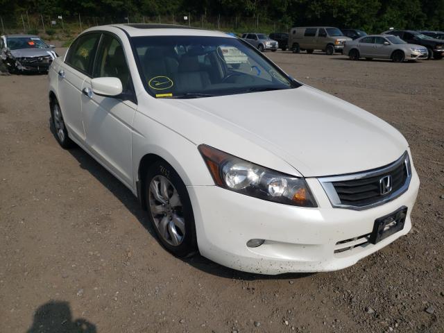 HONDA ACCORD EXL 2010 5kbcp3f89ab004737