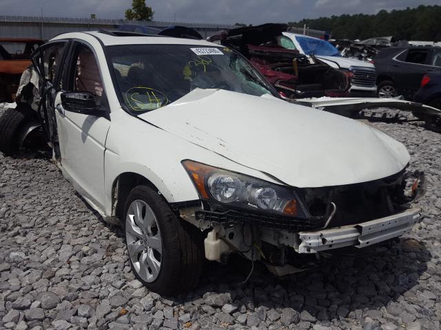 HONDA ACCORD EXL 2010 5kbcp3f89ab010117