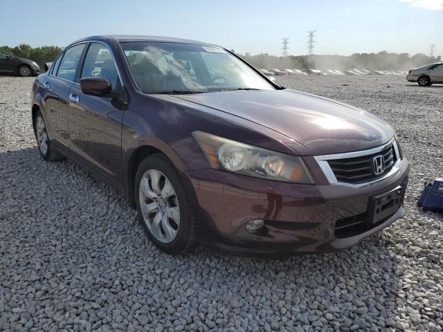 HONDA ACCORD EXL 2010 5kbcp3f89ab010991