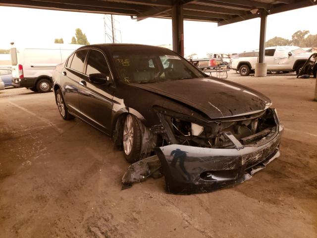 HONDA ACCORD EXL 2010 5kbcp3f89ab011896