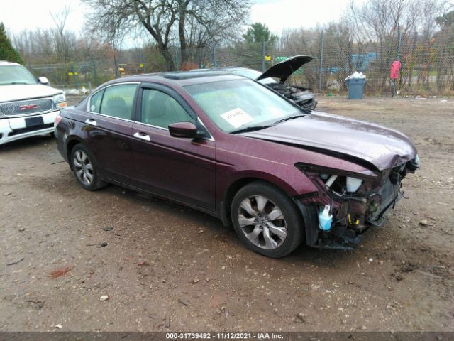 HONDA ACCORD SDN 2010 5kbcp3f89ab012059