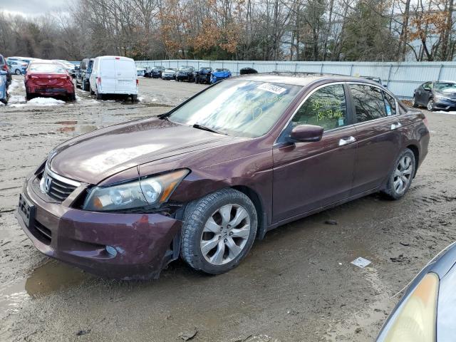 HONDA ACCORD EXL 2010 5kbcp3f89ab012739