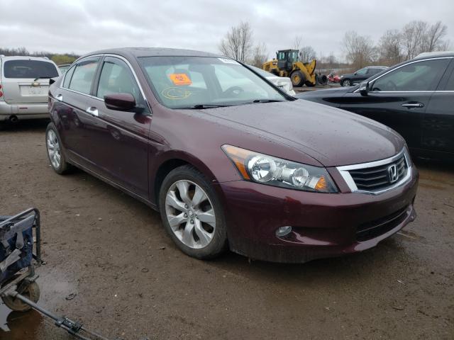 HONDA ACCORD EXL 2010 5kbcp3f89ab013096