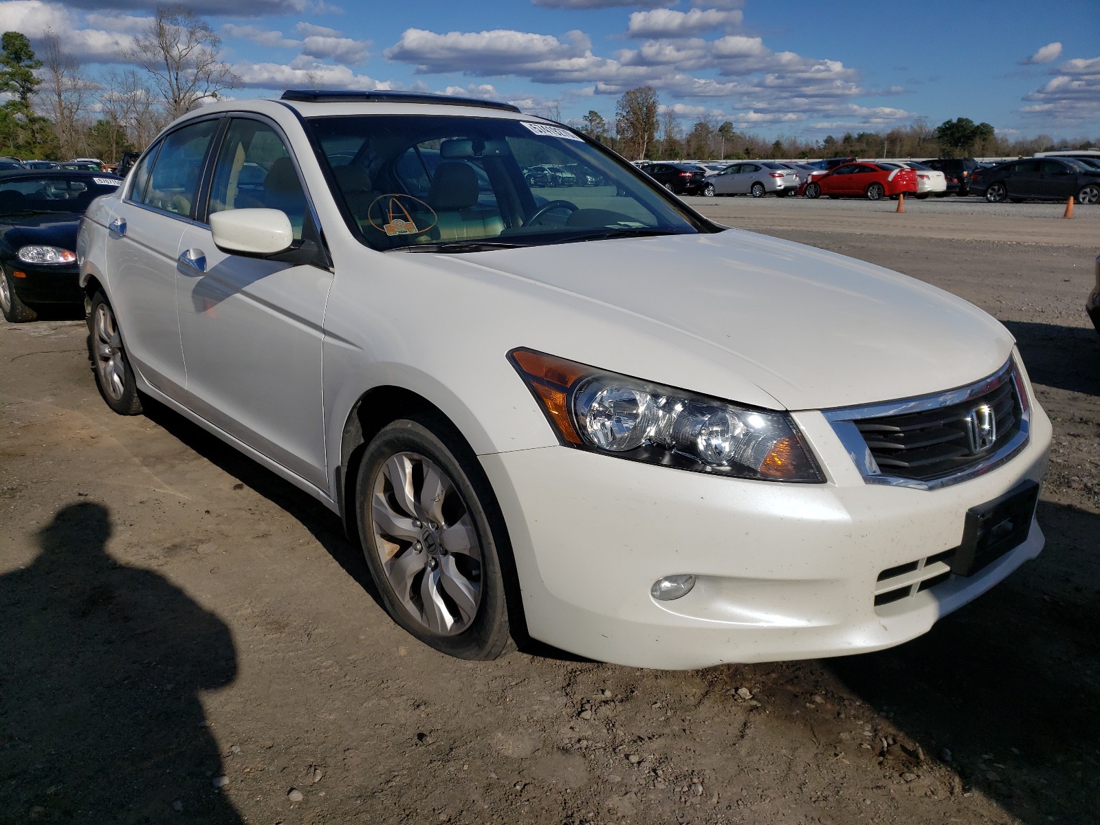 HONDA ACCORD 2010 5kbcp3f89ab014586