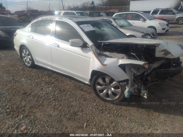 HONDA ACCORD SDN 2010 5kbcp3f89ab016595