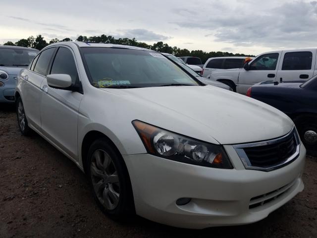 HONDA ACCORD EXL 2010 5kbcp3f8xab003998