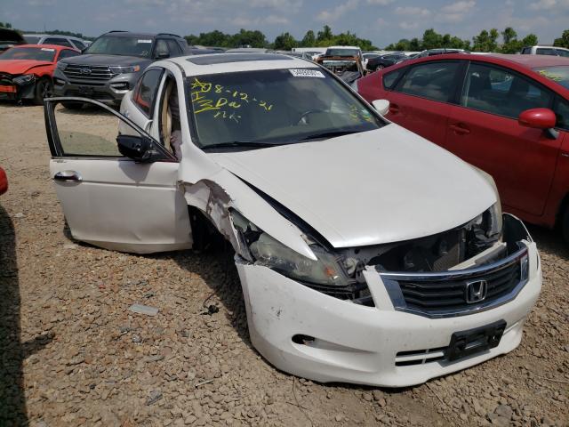 HONDA ACCORD EXL 2010 5kbcp3f8xab005654