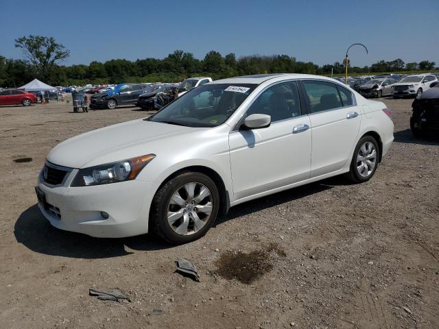 HONDA ACCORD EXL 2010 5kbcp3f8xab006352