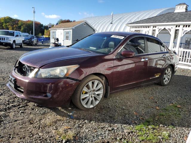 HONDA ACCORD EXL 2010 5kbcp3f8xab007890