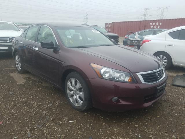 HONDA ACCORD EXL 2010 5kbcp3f8xab009509