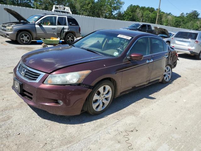 HONDA ACCORD EXL 2010 5kbcp3f8xab009512