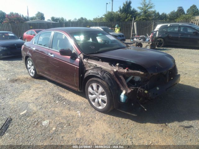 HONDA ACCORD SDN 2010 5kbcp3f8xab010448