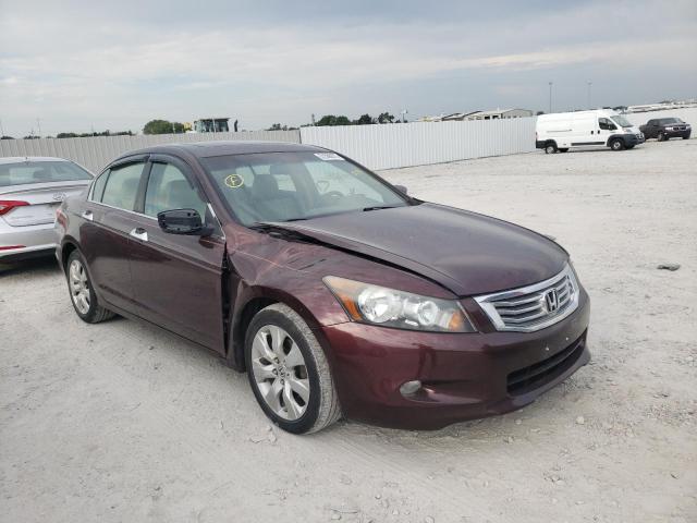 HONDA ACCORD EXL 2010 5kbcp3f8xab010594