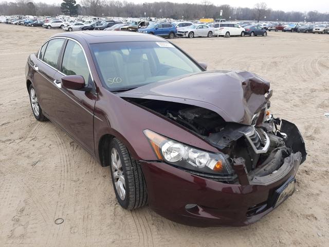 HONDA ACCORD EXL 2010 5kbcp3f8xab011941