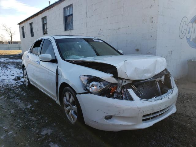 HONDA ACCORD EXL 2010 5kbcp3f8xab012894