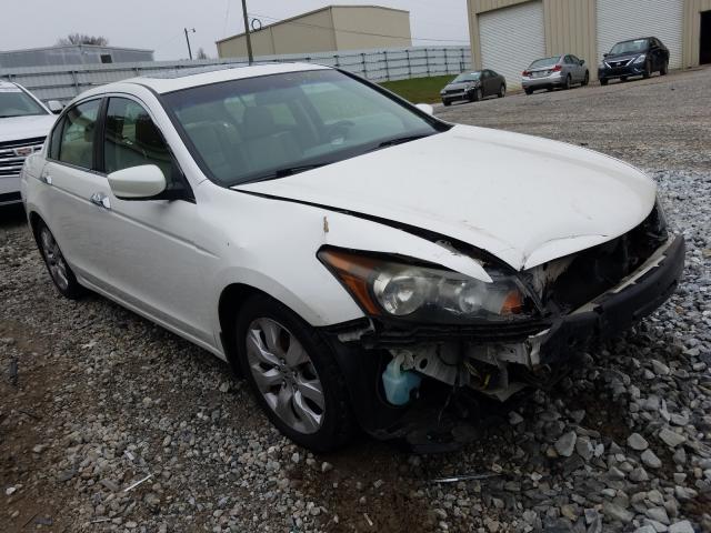 HONDA ACCORD EXL 2010 5kbcp3f8xab013656