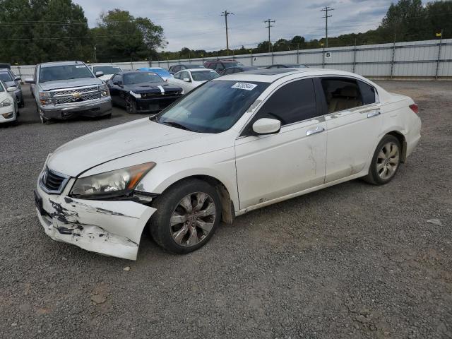 HONDA ACCORD EXL 2010 5kbcp3f8xab013849