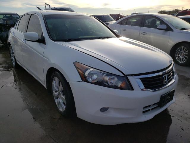 HONDA ACCORD EXL 2010 5kbcp3f8xab013981