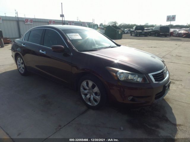 HONDA ACCORD 2010 5kbcp3f8xab015553