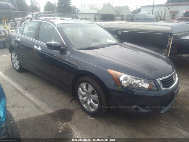 HONDA ACCORD SDN 2010 5kbcp3f8xab016427