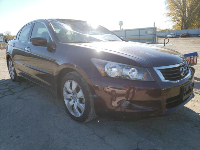 HONDA ACCORD EXL 2010 5kbcp3f8xab017481