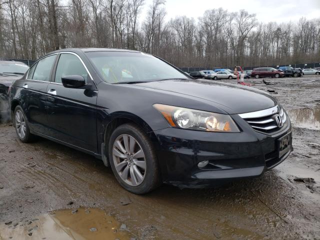 HONDA ACCORD EXL 2011 5kbcp3f8xbb001573