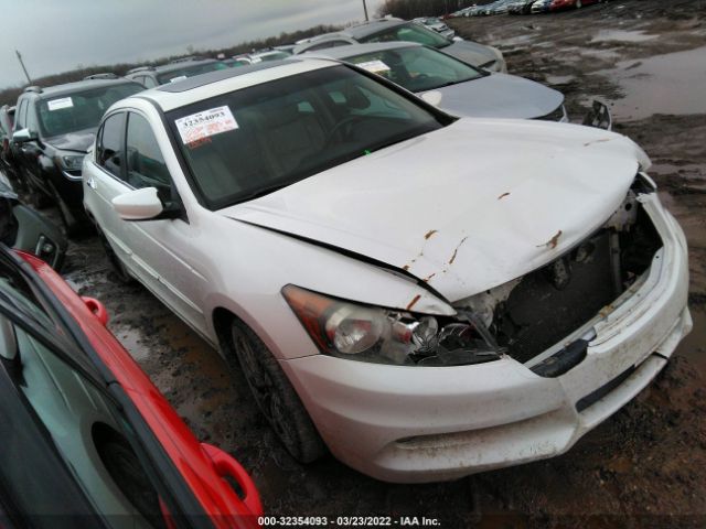 HONDA ACCORD SDN 2011 5kbcp3f8xbb003923