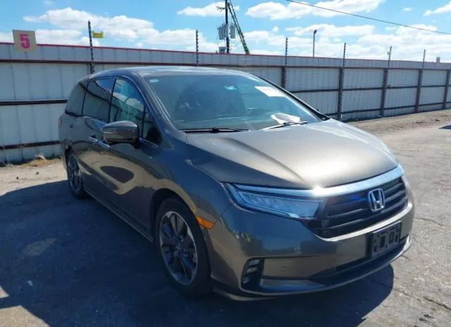 HONDA ODYSSEY 2022 5kbrl6884nb800628