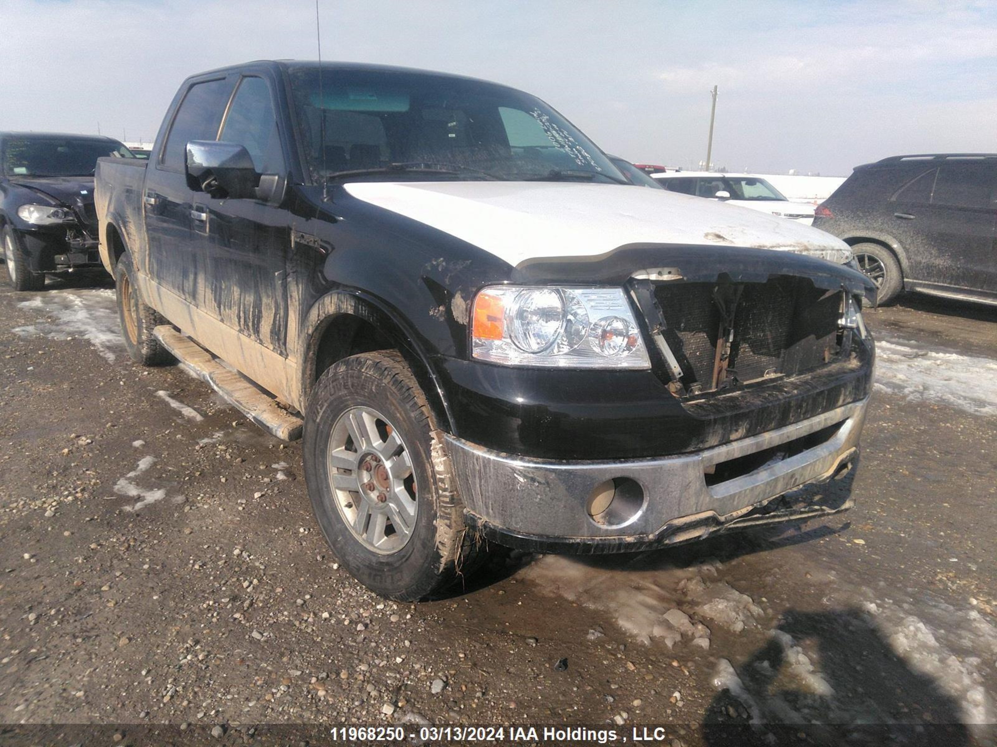 LINCOLN MARK LT 2006 5ltpw18516fj25062