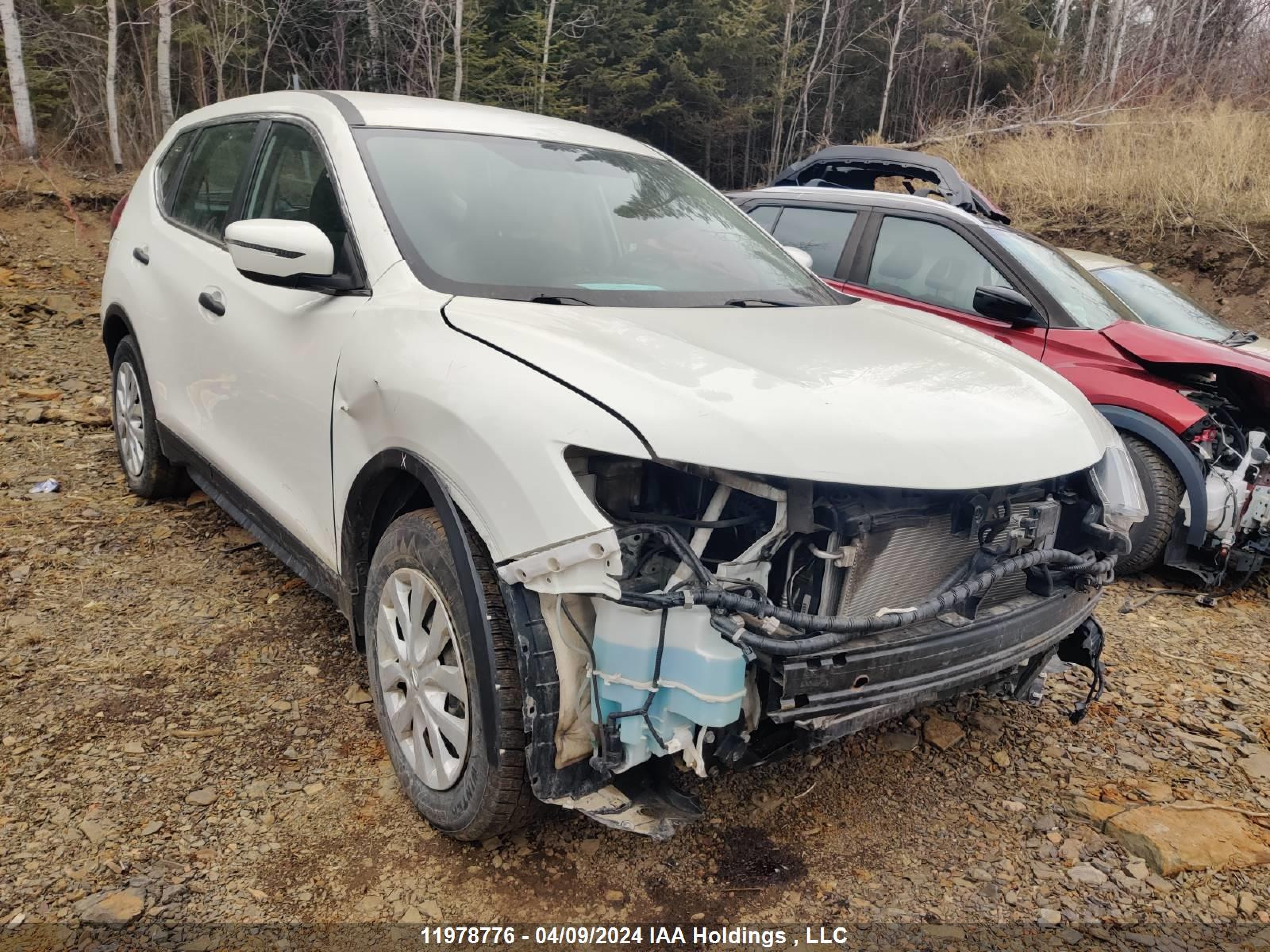 NISSAN ROGUE 2019 5n1at2mt8kc763991