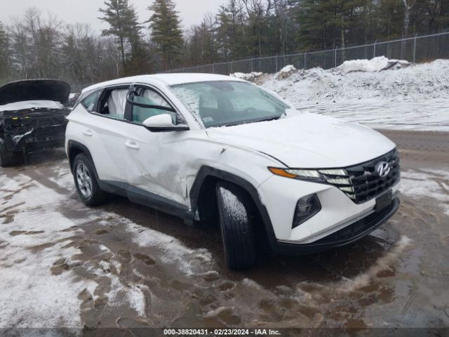 HYUNDAI TUCSON 2024 5nmja3de1rh352848