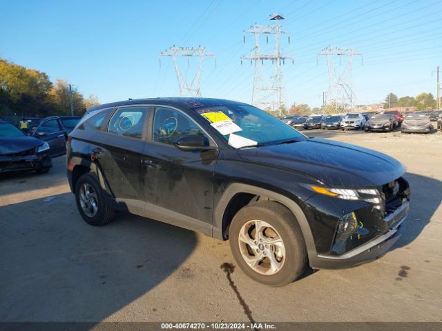 HYUNDAI TUCSON 2023 5nmjacae5ph238417