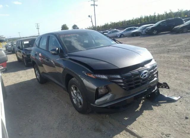 HYUNDAI TUCSON 2023 5nmjacae8ph266616