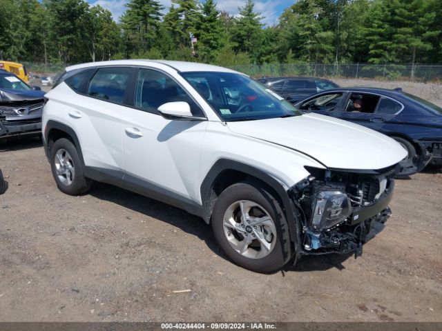 HYUNDAI TUCSON 2024 5nmjacde2rh367665