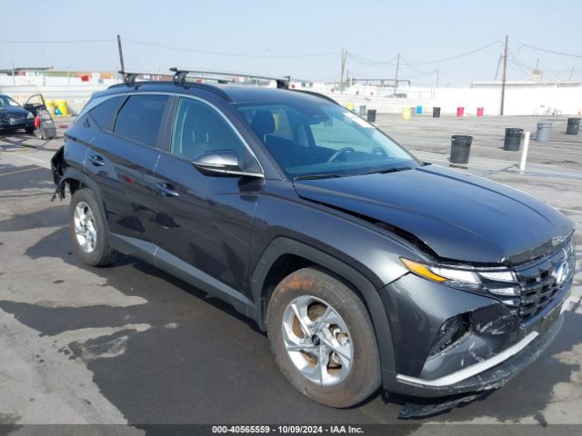 HYUNDAI TUCSON 2023 5nmjb3ae3ph214257