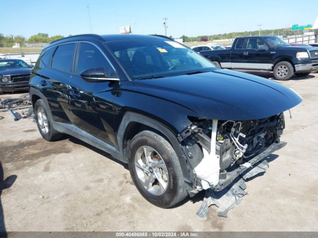 HYUNDAI TUCSON 2024 5nmjb3de9rh312269