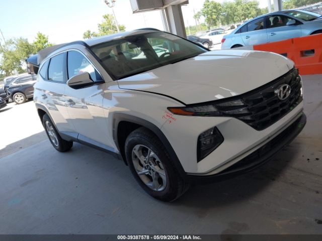 HYUNDAI TUCSON 2023 5nmjbcae4ph242519