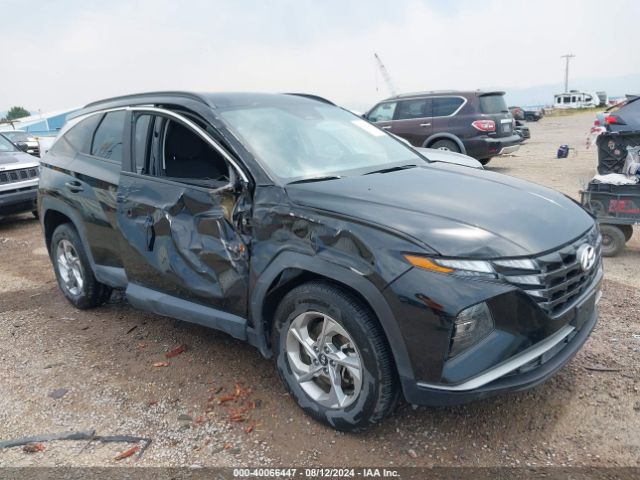 HYUNDAI TUCSON 2023 5nmjbcae5ph211456