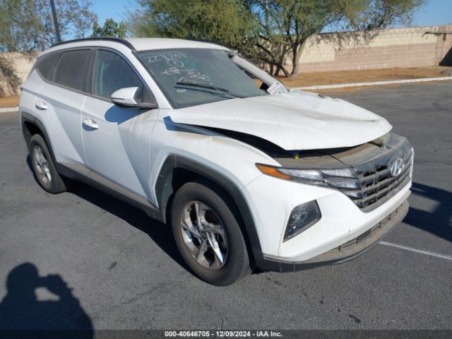 HYUNDAI TUCSON 2023 5nmjbcae6ph227259