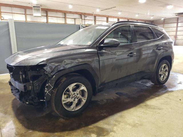 HYUNDAI TUCSON SEL 2023 5nmjbcae7ph261520