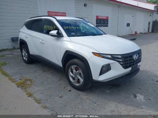 HYUNDAI TUCSON 2023 5nmjbcae9ph194788