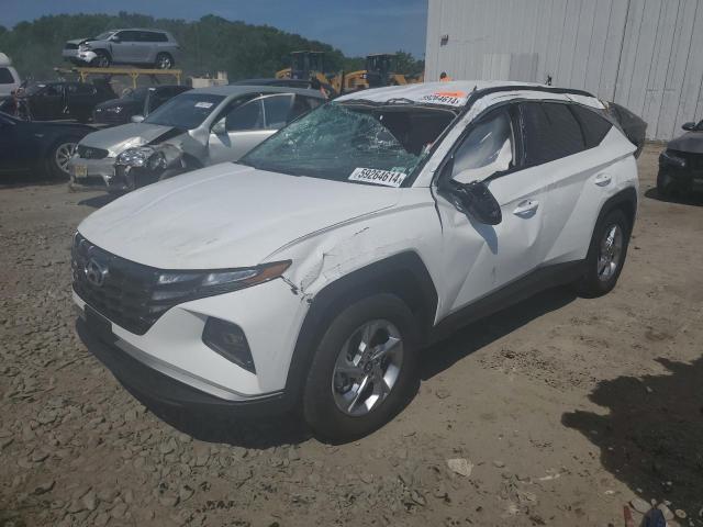 HYUNDAI TUCSON 2024 5nmjbcde2rh319404