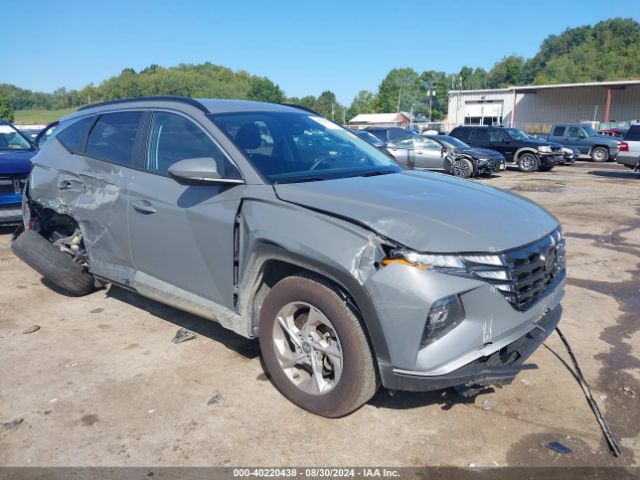 HYUNDAI TUCSON 2024 5nmjbcdexrh371721