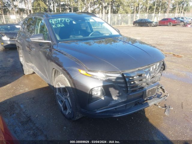 HYUNDAI TUCSON 2022 5nmjecaexnh135138