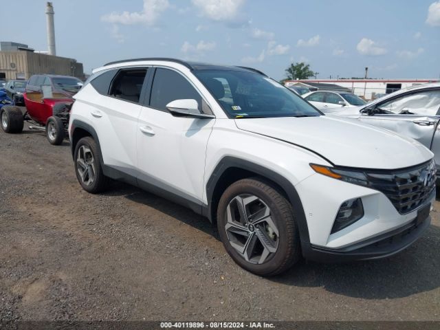 HYUNDAI TUCSON 2024 5nmjecde3rh295380