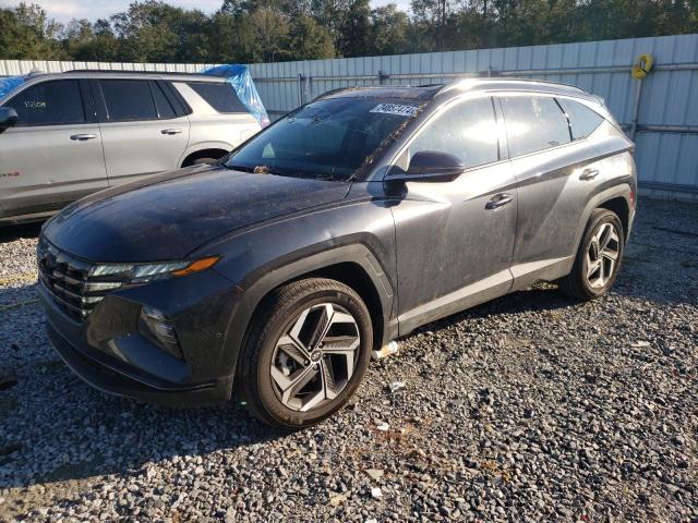 HYUNDAI TUCSON LIM 2024 5nmjecdexrh295716