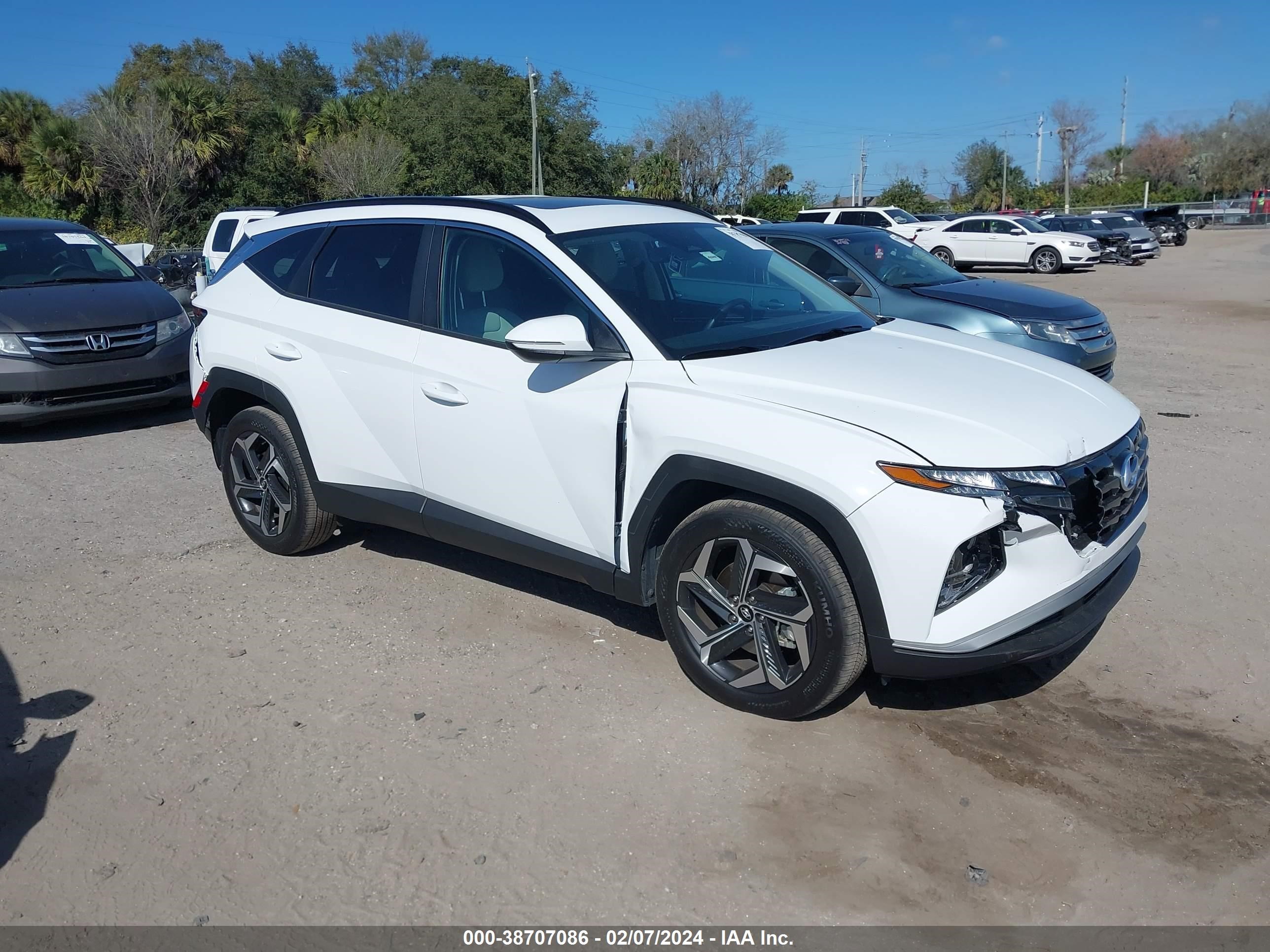 HYUNDAI TUCSON 2024 5nmjf3de3rh315947