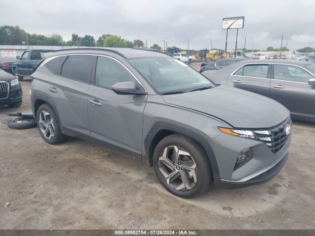 HYUNDAI TUCSON 2024 5nmjf3de5rh416066