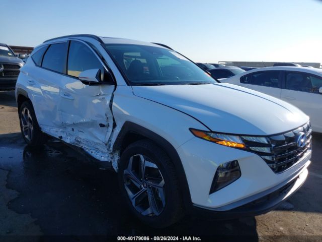 HYUNDAI TUCSON 2024 5nmjfcde9rh400632