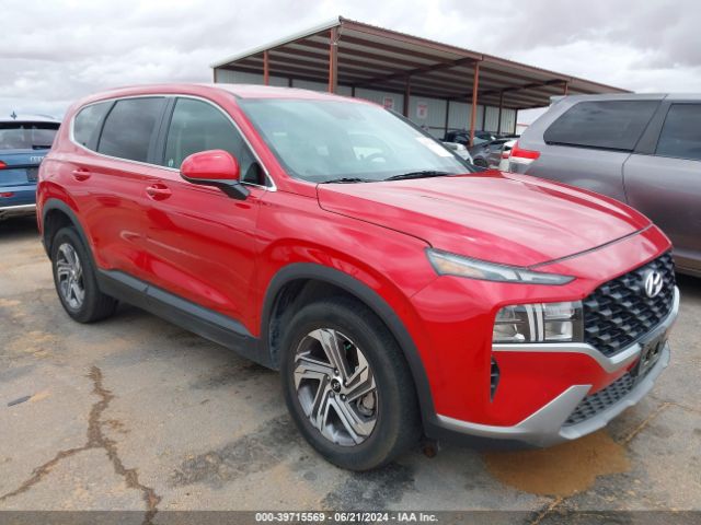 HYUNDAI SANTA FE 2023 5nms1daj3ph585056